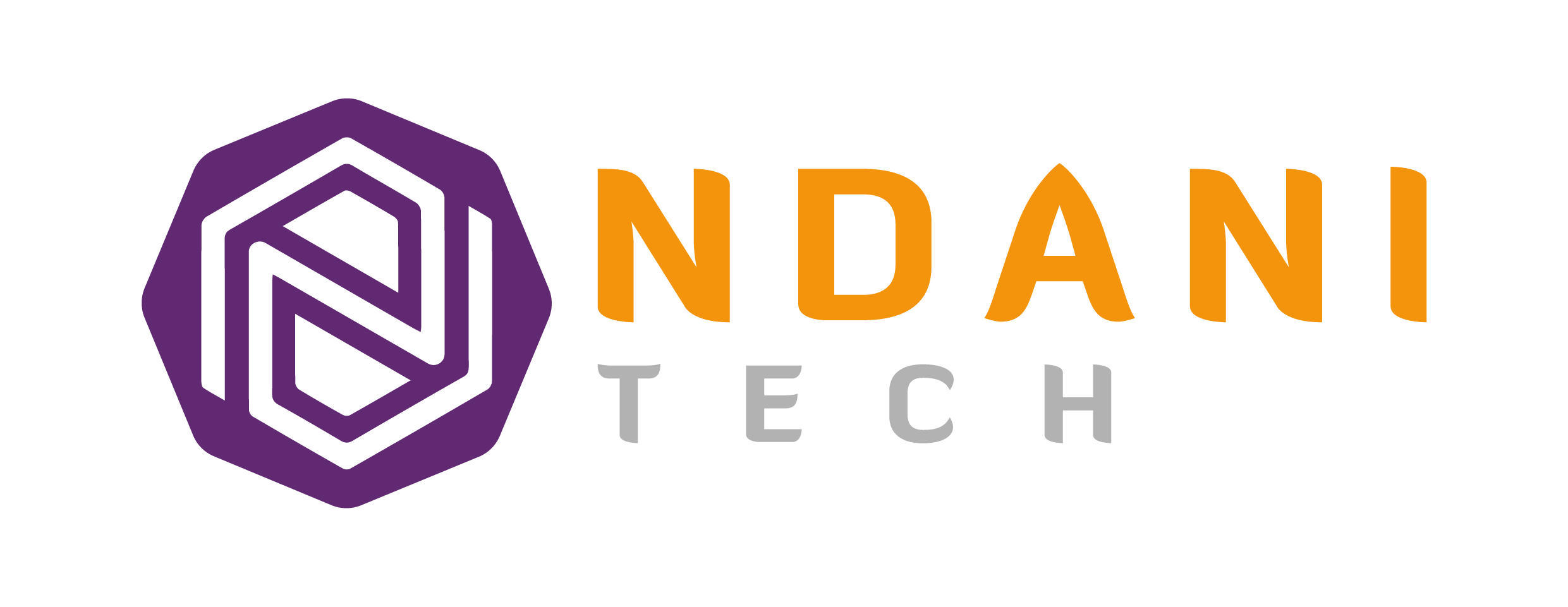 Ndani Tech